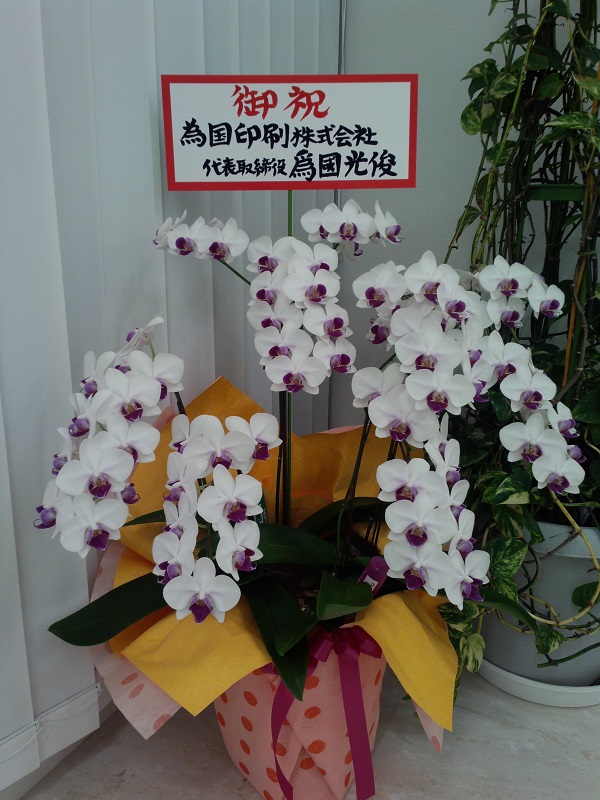 http://www.aiko-hifuka-clinic.com/mt/IMG_20140724_200802630.jpg